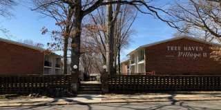Tree Haven Apartments Gallery 18