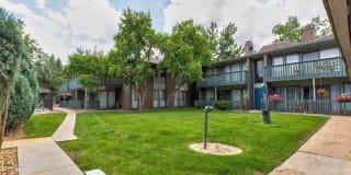 Henley And Remy Gallery 30