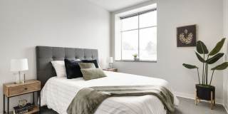 Amber Union Gallery 14