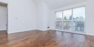 The Village at Town Center Gallery 141