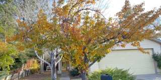 1254 Ambassador Drive Gallery 22