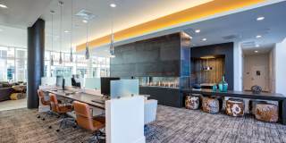 Deco Gallery 12