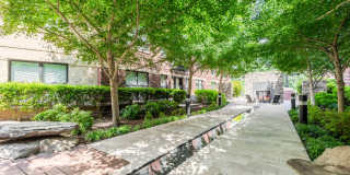 19Nineteen Clarendon Apartments Gallery 35