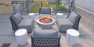 Ellis Bethesda Gallery 59