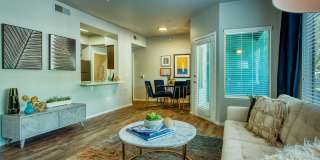 Galleria Palms Gallery 5