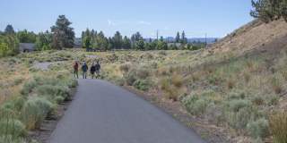 Native Sun Gallery 22