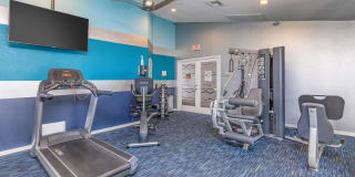 Ariel Springs Gallery 15