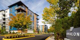 Avalon Redmond Campus Gallery 33