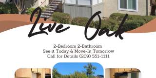 Live Oak Live Oak Gallery 1