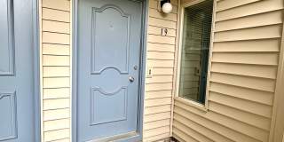 The Shadows Gallery 1