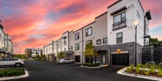 The ALIBI at Lake Lilly Gallery 39