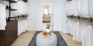 The Duchess Gallery 14