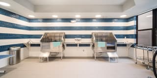 Magnolia Square Gallery 24