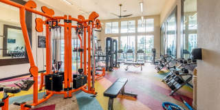 Linden on the GreeneWay Gallery 29