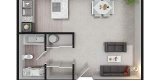 Woodland Gallery 12