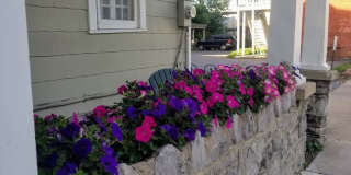 Downtown pet-friendly 3bd w Fenced Yard, Laundry, Screened Porch, Dishwasher, and nearby weekly farmer's market Gallery 28