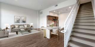 Essence Essence Gallery 56