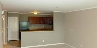 236 Bertram Dr Gallery 4