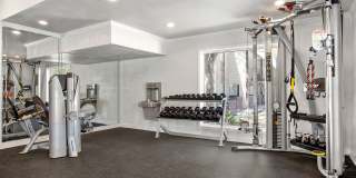 Bristol Grapevine Gallery 19