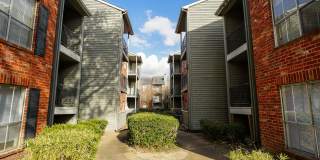 Timbers of Cranbrook Gallery 26