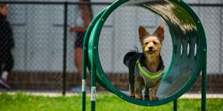 Authentix Greeley Gallery 24