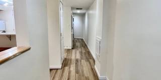 Columbia Heights| 900 sqft 2bd, 1bth|Townhouse English Bsmt Apt| Shared Back Patio Gallery 12