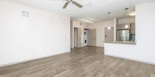 RIZE at Winter Springs Gallery 121