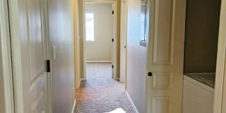 AV16564 AV16564 Gallery 16