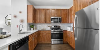 Sofi Lyndhurst Gallery 1