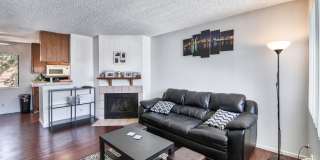 CSP Hamilton Gallery 1
