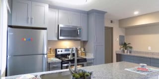 The Palms The Palms Gallery 5