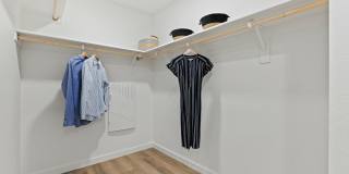 Eco Phoenix Gallery 49
