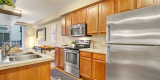 The Artiste Apartment Homes Gallery 1