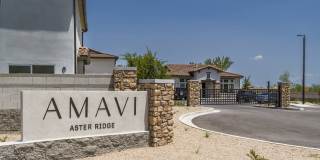 Amavi Aster Ridge Gallery 5