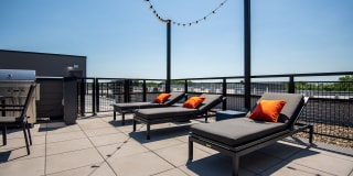 The Grove Gallery 56