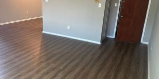 Willows on France Gallery 50