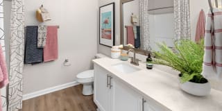 The Murray Gallery 15