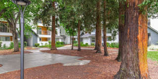 The Hazelwood Gallery 7