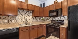 Roots at Waco Gallery 6