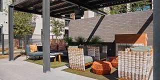 Blume on Central Gallery 31