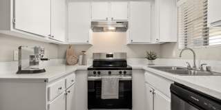 Coronado Palms Gallery 11