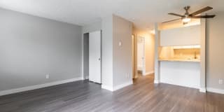 Avana at South Station Gallery 26