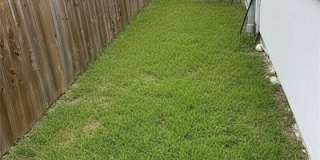 1817 Stauffer Street Gallery 12