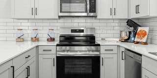 Canopy at Sundance Gallery 63