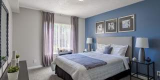 Broadmoor Ridge Gallery 14