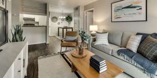 River Oaks Gallery 3