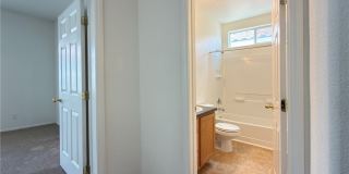 10154 Sunshine Village Place Gallery 20