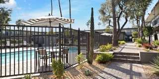 Tierra Palms Gallery 82