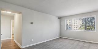 Swift at Riverdale Park Gallery 23