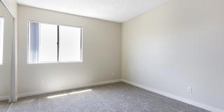 Chatsworth Plaza Gallery 25